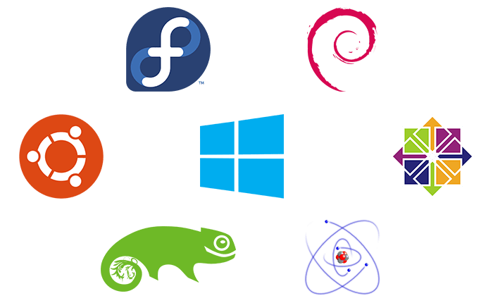 Dashboard Feature #2